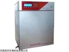 國產(chǎn)博迅水套式CO2培養(yǎng)箱