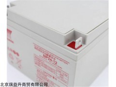 汤浅蓄电池NPL24-12新报价