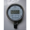 安徽天康CYF-100数字压力表价格