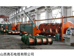 多規(guī)格電纜,山西離石電纜供應商