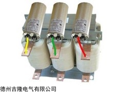 德州吉隆電氣自動化有限公司LKSG調(diào)諧電抗器