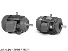 石化行业专用的Baldor-841标准电机