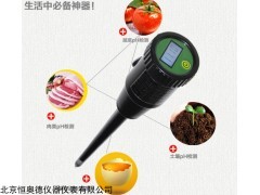 水果蔬菜酸度计 H28195