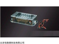 微型水平电泳槽 水平电泳槽 型号：JXH-DY-31