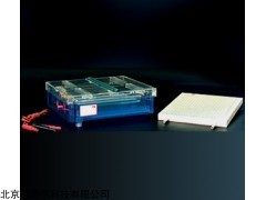 等電聚焦多用途電泳儀  型號：BL/DYCP-37B