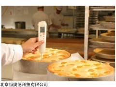 DT-106 德图 探针式温度表    