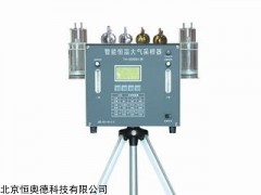 WH1-TH-3000BⅣ 便携式交直流两用恒温大气采样器   