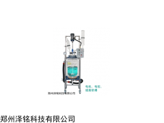 GR-50Ex玻璃反应釜,玻璃反应釜厂家