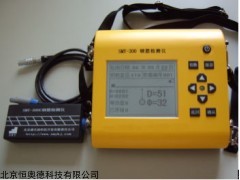 HAD-SMY-300C 钢筋检测仪/   