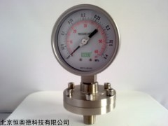 HAD-Y-ML 氨压力表/    