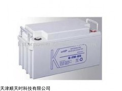 科士达蓄电池6-FM-65详细解析