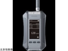 TA-ESP210  便携式硫化氢检测仪    
