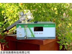 CI900 美国 便携式乙烯气体分析仪   