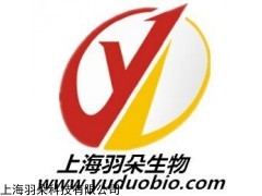 mk1775Wee1激酶抑制剂955365-80-7