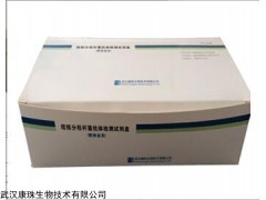 结核杆菌抗体检测试剂盒