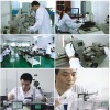 廣東廣州計量局檢測/實驗機/試驗箱/測試儀/分析儀/電子秤