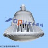 100WLED防爆灯