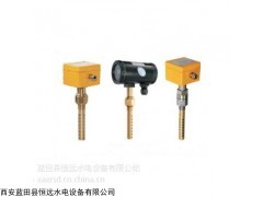 石英管液位计LTS11-200/2SB-MN恒远水电