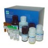 SRP ELISA kits實驗專用