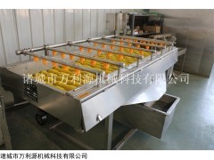 厂家直销果蔬毛辊清洗机