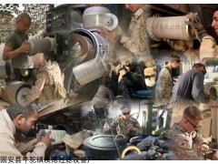 唐纳森滤芯P555010,P555020,P555060