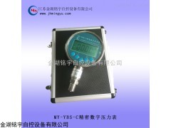 壓力表，電子式標(biāo)準(zhǔn)表，數(shù)字壓力計(jì)