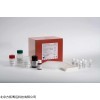 北京價格ELISA酶免雞IgMELISA試劑盒實驗檢測