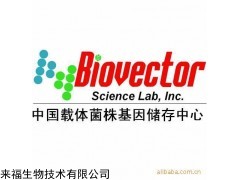 pcDNA3.1-HA- IL4,BSF1