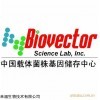pcDNA3.1-HA- HC7-I