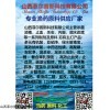 消毒剂 杀虫剂 鱼药  渔药 水质改良剂 苯扎溴铵碘溶液