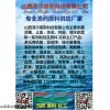 生长剂 抗应激 诱食促长宝 鱼药渔药原料 山西鱼药原料
