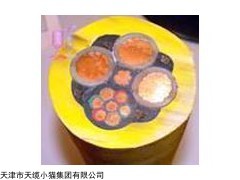 MY矿用移动橡套电缆天津市天缆小猫集团有限公司