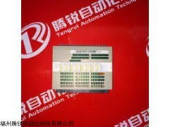艾默生1C31110G02畅销全新