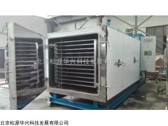 生產(chǎn)型凍干機(jī)廠家，生產(chǎn)型凍干機(jī)價(jià)格，生產(chǎn)型凍干機(jī)品牌