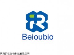 BSA-FITC，荧光标记牛血清白蛋白,绿色标记