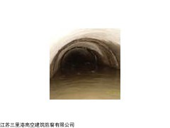 江苏扬州窄巷口水电站防渗堵漏处理技术