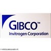 Invitrogen胎牛血清，廣州代理胎牛血清的公司