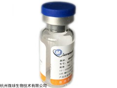 定量菌种黑曲霉CMCC(F)98003