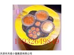 订购MYPTJ高压6/10KV矿用橡套电缆厂家