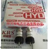 SK1080T-05-05-03-10探头
