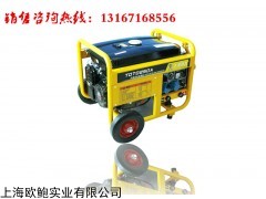230A大澤氬弧汽油發電電焊一體機