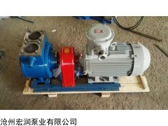 品牌汽油泵-80YPB-60型滑片泵-防爆型油泵