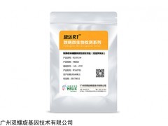 铜绿假单胞菌检测,恒温荧光检测仪