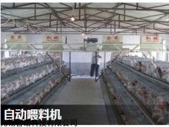 喂料機(jī)價(jià)格|無錫普諾科技|無錫失重喂料機(jī)