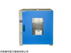 BIOBASE電熱恒溫微生物培養(yǎng)箱DHP-9054