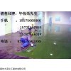 鱗片膠泥涂料網(wǎng)上給力推廣、每平方近價格