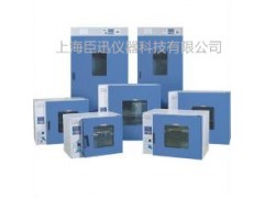 安徽DHG-9240A電熱恒溫鼓風(fēng)干燥箱廠(chǎng)家