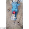 2CY-4.2/2.5型齿轮泵-内蒙不锈钢齿轮泵供应商