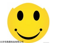 HD/WS-1 毛发温湿度表