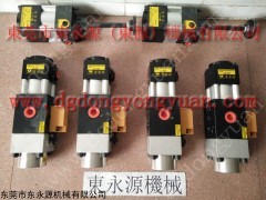 肯岳亚冲床过载油泵，滑块超负荷装置LS-507，进口冲床配件